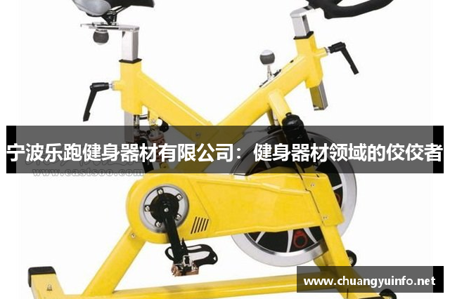 宁波乐跑健身器材有限公司：健身器材领域的佼佼者